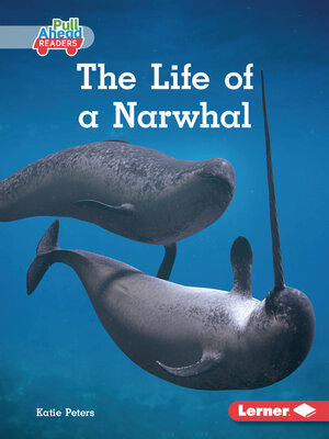 cover image of The Life of a Narwhal